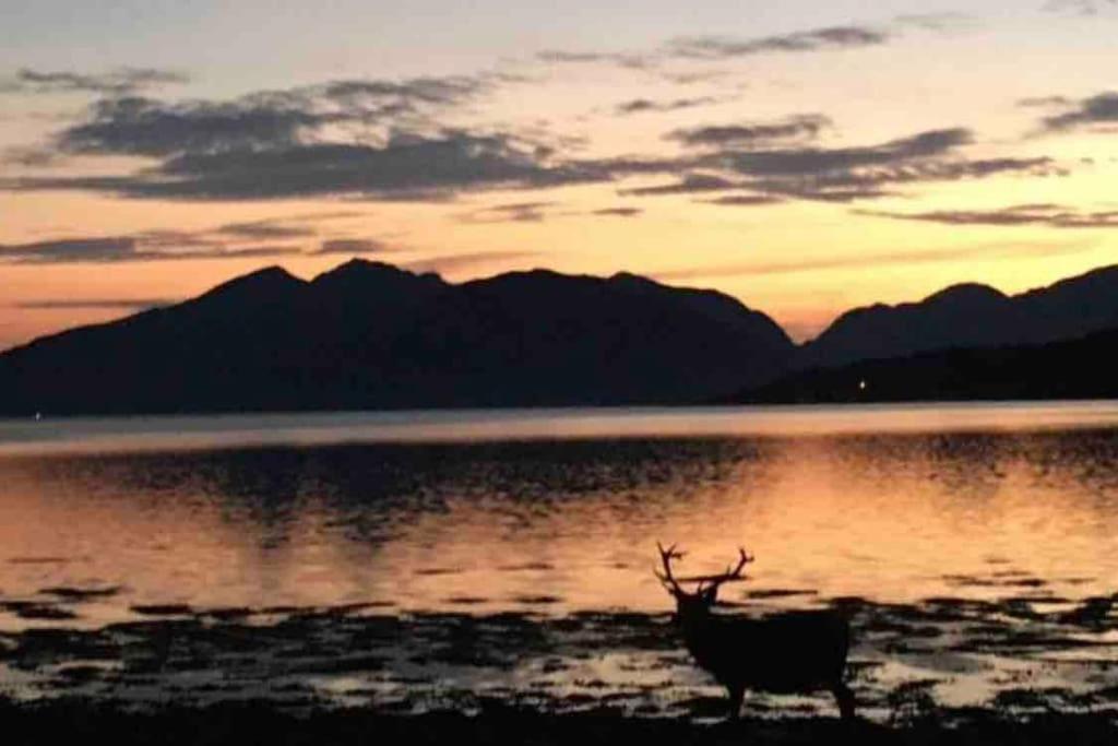 The Fox'S Den, Luxury Cosy Mini Lodge, Highlands North Ballachulish ภายนอก รูปภาพ